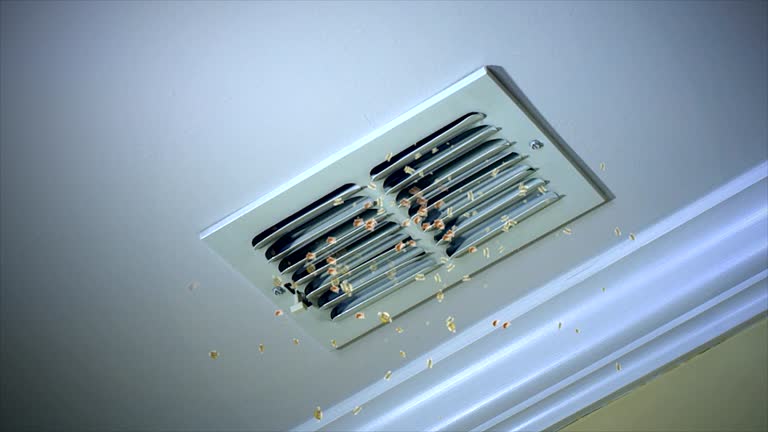 Best Dryer Vent Cleaning Services  in Spring Lake, NC