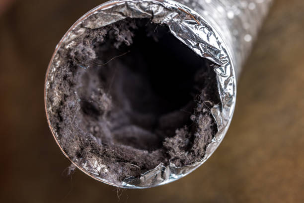 Best Best Air Duct Cleaning Company  in Spring Lake, NC
