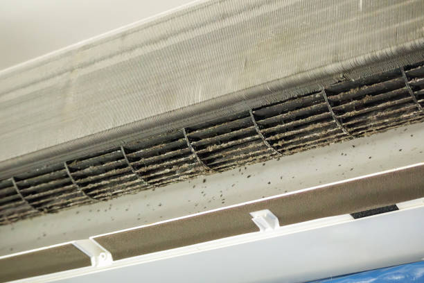 Best Commercial Air Duct Cleaning  in Spring Lake, NC